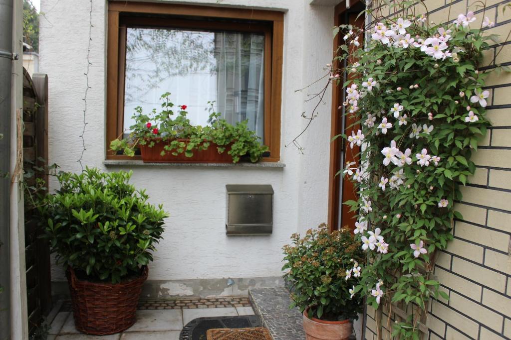 Apartment Ramersdorf room 3